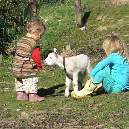 Little Paradise & Petting Farm Greymouth Extérieur photo