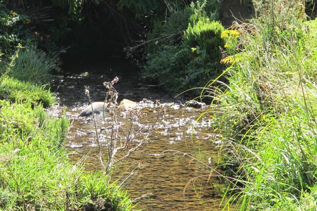 Little Paradise & Petting Farm Greymouth Extérieur photo