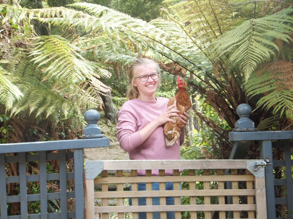 Little Paradise & Petting Farm Greymouth Extérieur photo