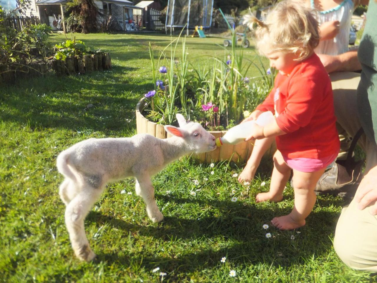 Little Paradise & Petting Farm Greymouth Extérieur photo